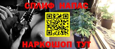 соль ск Будённовск