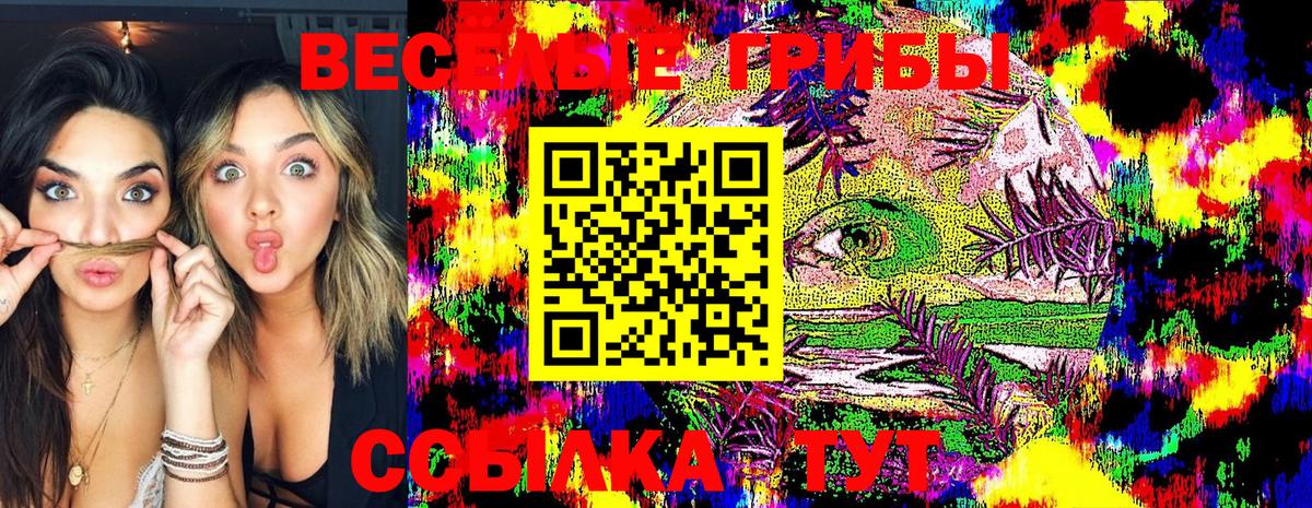 Галлюциногенные грибы прущие грибы Тайшет